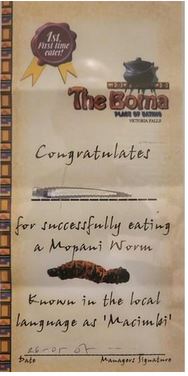Certificate mopani worms