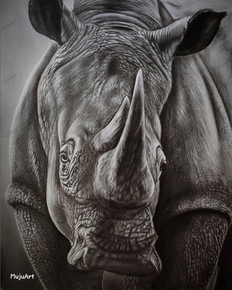 Rhino Muju