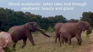 Elephant safari: Shona sculptures capture wild beauty